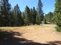 7602 Old Emigrant Trl W, Mountain Ranch, CA 95246
