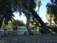  17555 Corkill Rd., #32, Desert Hot Springs, CA 4100706