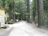  14900 Canyon Two Rd, Guerneville, CA 4549788