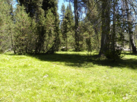  20 AC Grizzly Rd, Bass Lake, CA 7281129