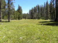  20 AC Grizzly Rd, Bass Lake, CA 7281131
