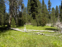 20 AC Grizzly Rd, Bass Lake, CA 7281133