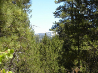  20 AC Grizzly Rd, Bass Lake, CA 7281126