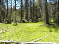  20 AC Grizzly Rd, Bass Lake, CA 7281130