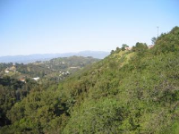  2023 Cyprean Dr., Hollywood Hills, CA 7436281
