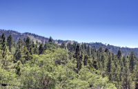  43734 Yosemite Drive, Big Bear Lake, CA 7481425