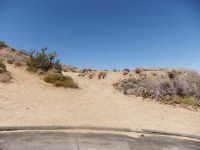  55509 Free Gold, Yucca Valley, CA 7492141