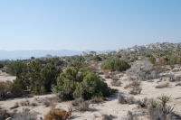  0 Grand Ave., Yucca Valley, CA 7492163