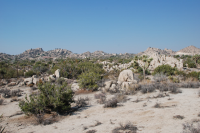  0 Grand Ave., Yucca Valley, CA 7492161