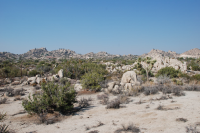  0 Grand Ave., Yucca Valley, CA 7492162