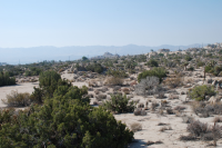  0 Grand Ave., Yucca Valley, CA 7492167