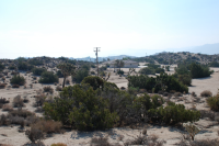  0 Grand Ave., Yucca Valley, CA 7492169