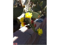  61761 Barrel Cactus Rd, Palm Springs, CA 7498610
