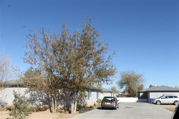  21470 Nisqually Road, Apple Valley, CA photo