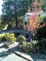  1525 Cold Springs Rd #61, Placerville, CA 8109529