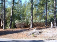  3638 Stope Dr, Placerville, CA 8109530