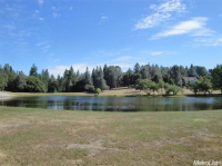  3436 Lupine Ln, Placerville, CA 8109541
