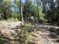  3436 Lupine Ln, Placerville, CA 8109532