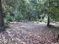  3436 Lupine Ln, Placerville, CA 8109531