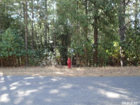  3436 Lupine Ln, Placerville, CA 8109539