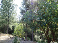  3436 Lupine Ln, Placerville, CA 8109533