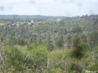  15 Coon Hollow Rd, Placerville, CA 8109660