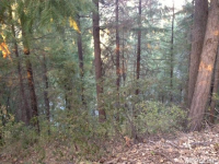  3521 Deer Canyon Rd, Placerville, CA 8109778