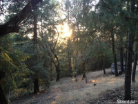  3521 Deer Canyon Rd, Placerville, CA 8109777
