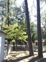  5356 Doty Lane, Placerville, CA 8110171