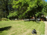  5140 Moon Shine Hill, Placerville, CA 8110418