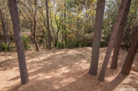  4901 Dowell Ln, Placerville, CA 8110731