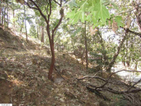  1.39 Acres Pack Trail, Sonora, CA 8302462