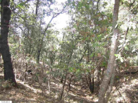  1.39 Acres Pack Trail, Sonora, CA 8302457