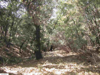  1.39 Acres Pack Trail, Sonora, CA 8302459