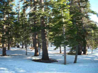 180 Le Verne St., Mammoth Lakes, CA 8625602