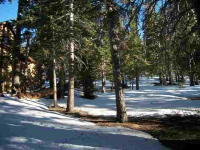  180 Le Verne St., Mammoth Lakes, CA 8625600