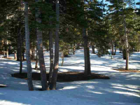  180 Le Verne St., Mammoth Lakes, CA 8625603