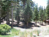  180 Le Verne St., Mammoth Lakes, CA 8625608