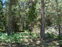 Lot 10 Old Mill Dr., McCloud, CA 96057