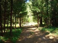  2126 Paddock way, Mount Shasta, CA 8730628
