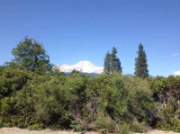  Lot 12 Sun Mountain Subdivision, Mount Shasta, CA 8730951