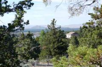  Unit 4 Lot 558 Lookout Court, Weed, CA 8735965