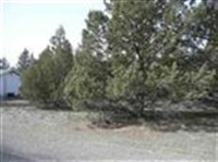  8-2 Lot 59 Lakeside Dr., Weed, CA 8735996