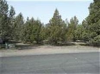  8-2 Lot 59 Lakeside Dr., Weed, CA 8735999
