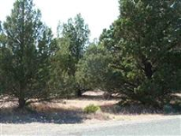 8-2 Lot 59 Lakeside Dr., Weed, CA 8735998