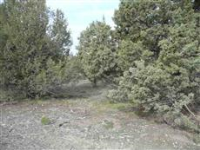  8-2 Lot 59 Lakeside Dr., Weed, CA 8735997