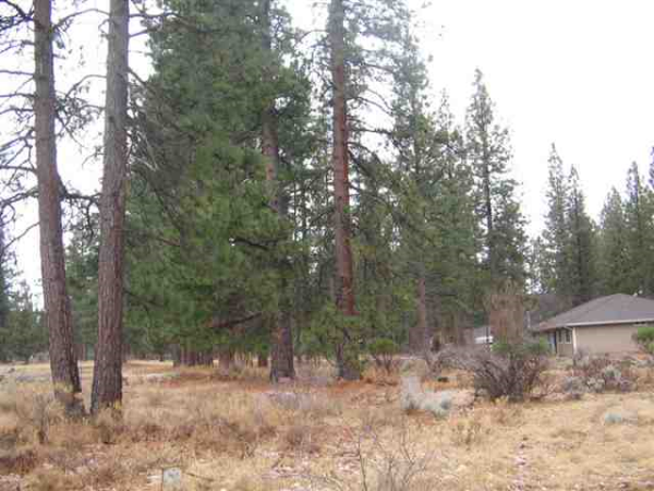  Unit 7-3 Lot 145 Coyote Ct., Weed, CA photo