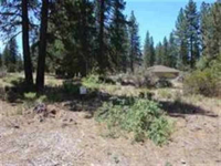  Unit 7-3 Lot 145 Coyote Ct., Weed, CA 8736183
