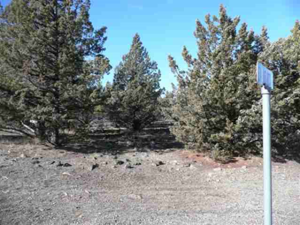  Unit 9-2 Lot 239 Stone Crest Dr, Weed, CA photo