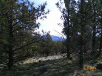  Unit 1 Lot 220 Old Camp Rd., Weed, CA 8736571